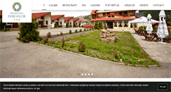 Desktop Screenshot of pensiuneadornelor.ro